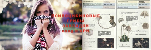 винт Богородицк