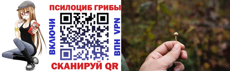 KRAKEN сайт  Мурино  Галлюциногенные грибы Psilocybe  купить наркоту 